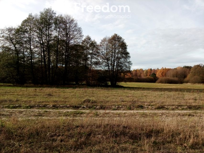 Działka budowlana Trzęśniew