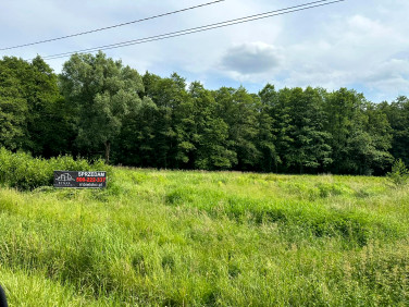 Działka Bujaków