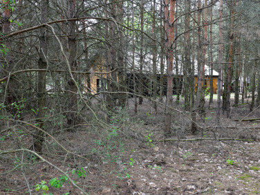 Działka Leszno