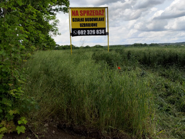 Działka Unieszewo