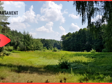Działka rolna Lubiewo