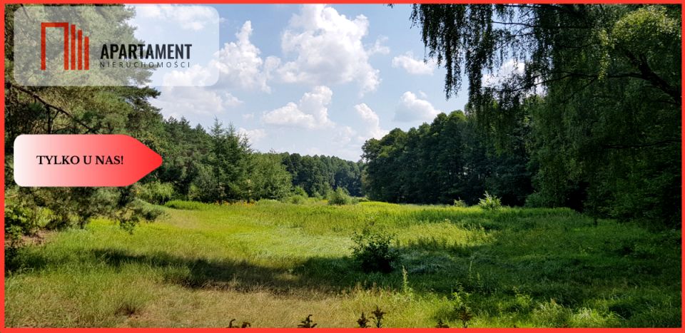 Działka rolna Lubiewo