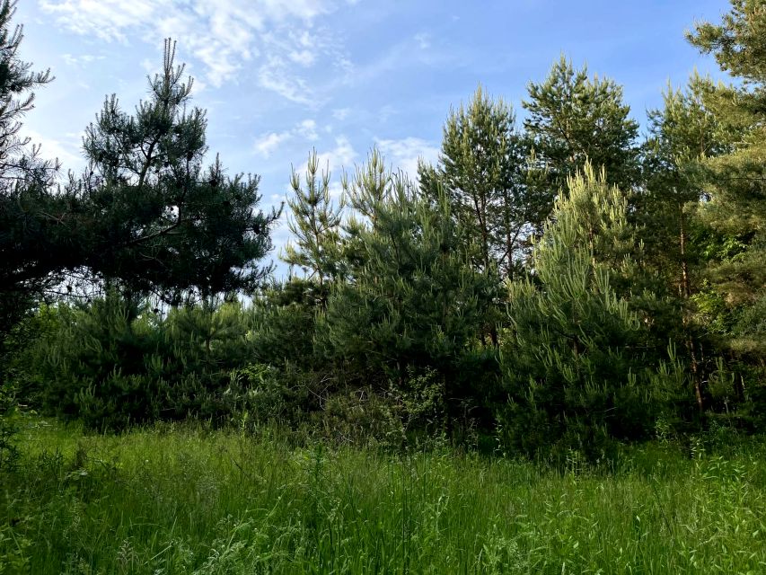 Działka Rydzynki