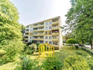 Mieszkanie Bielsko-Biała