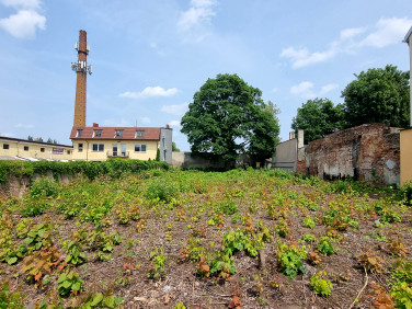 Ogrodzona działka Zgierz