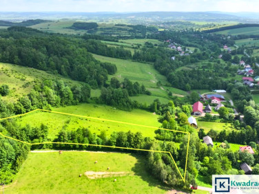 Działka Pielnia