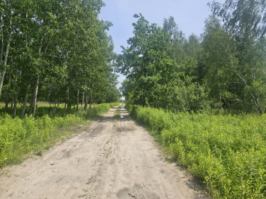 Działka usługowa Otwock sprzedam