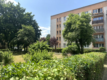 Mieszkanie Katowice