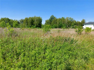 Działka budowlana Duchnów