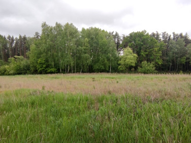 Działka budowlana Szydłów