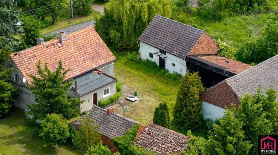 Zdjęcie 3