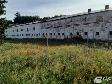 Budynek użytkowy Tursko