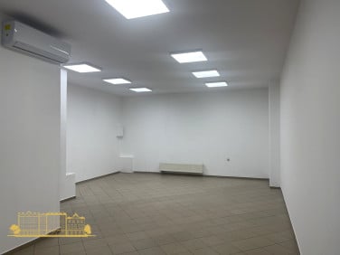 Lokal Kraków