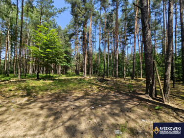 Działka budowlana Trzepieciny
