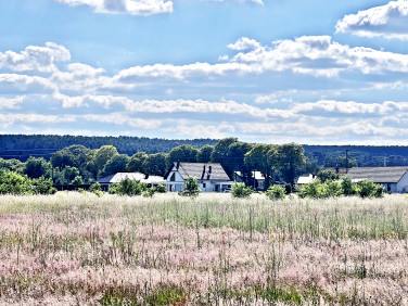 Działka Zielona Góra