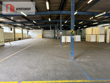 Lokal Bydgoszcz wynajem