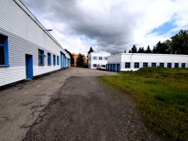 Lokal Siemianowice Śląskie
