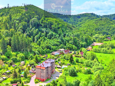 Mieszkanie Jedlina-Zdrój
