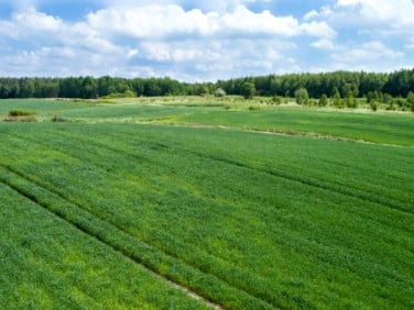 Działka inwestycyjna Morąg