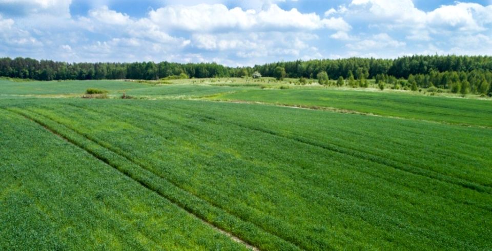 Działka inwestycyjna Morąg