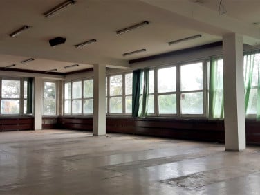 Lokal Opole