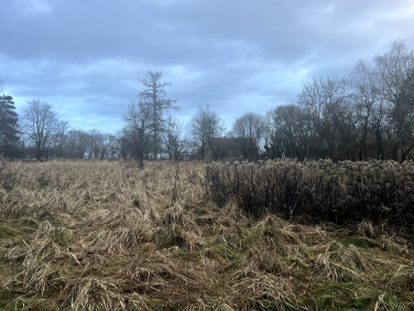 Działka inwestycyjna Rogów Opolski