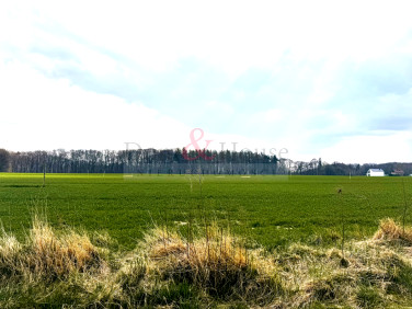 Działka inna Rekowo Górne