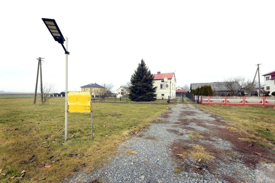 Zdjęcie 2