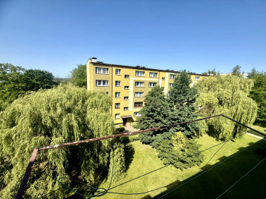 Mieszkanie Rybnik