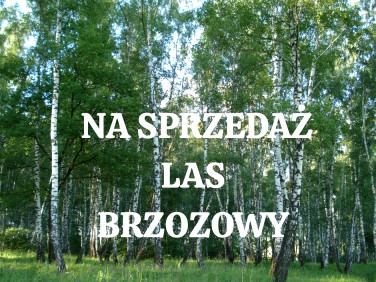Działka rolna Grodziszczany sprzedam