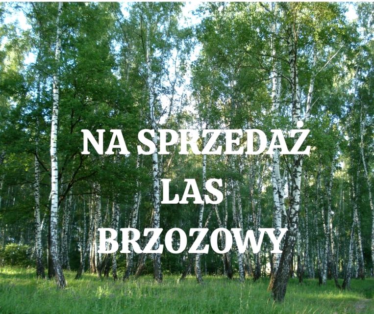Działka rolna Grodziszczany sprzedam