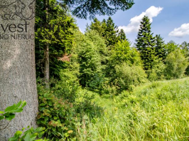 Działka Wysowa-Zdrój