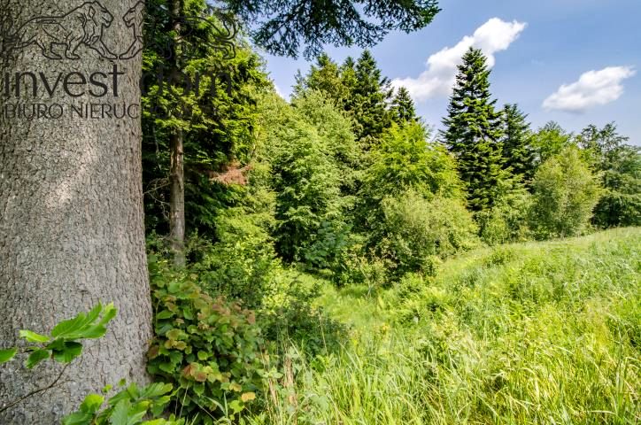 Działka Wysowa-Zdrój