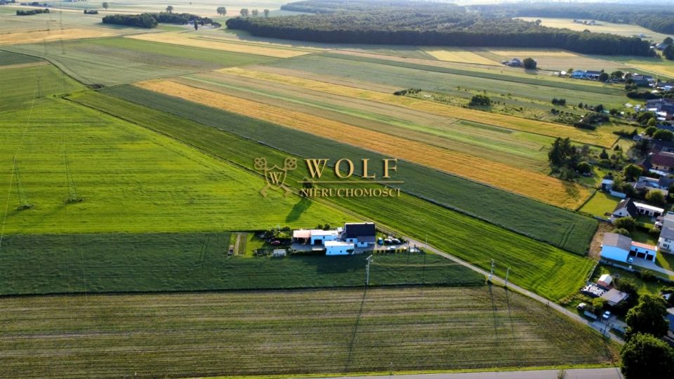 Działka Wielowieś