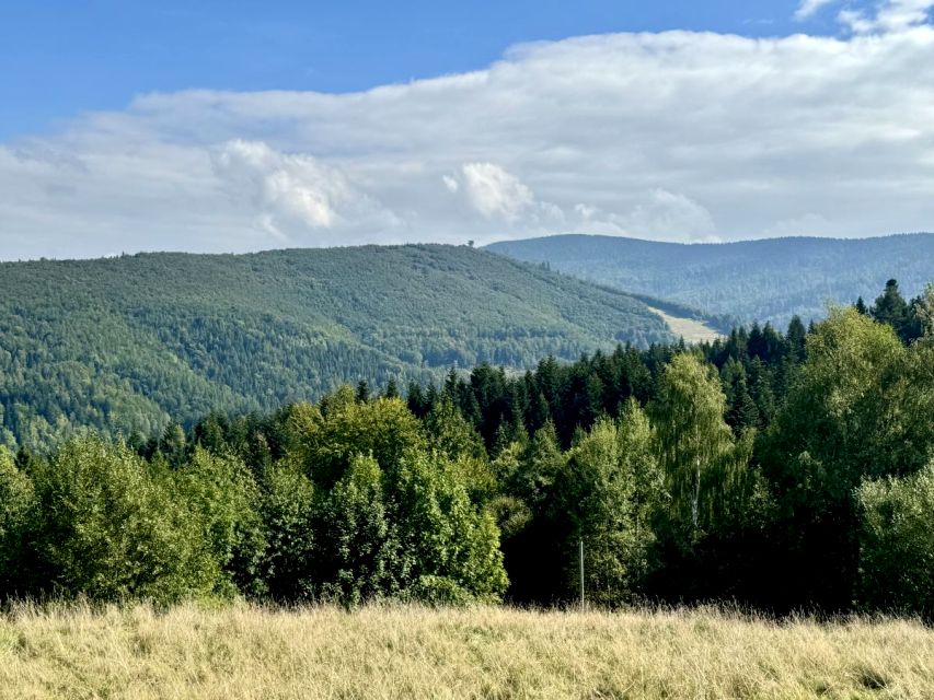 Działka Zawoja