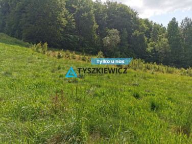 Działka Trzepowo