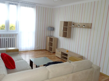 Mieszkanie Piotrków Trybunalski