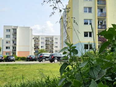Mieszkanie Bydgoszcz