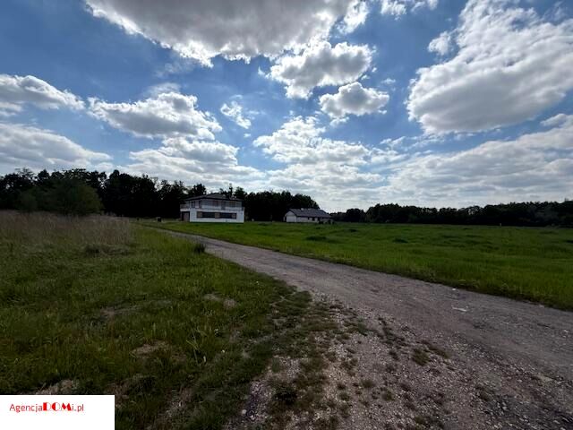 Pusta działka Cholewy