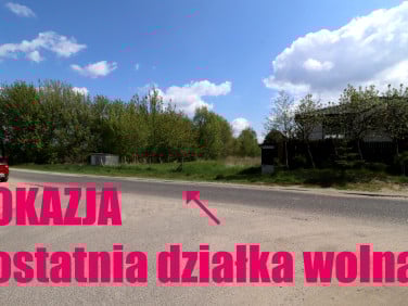Pusta działka Gniezno