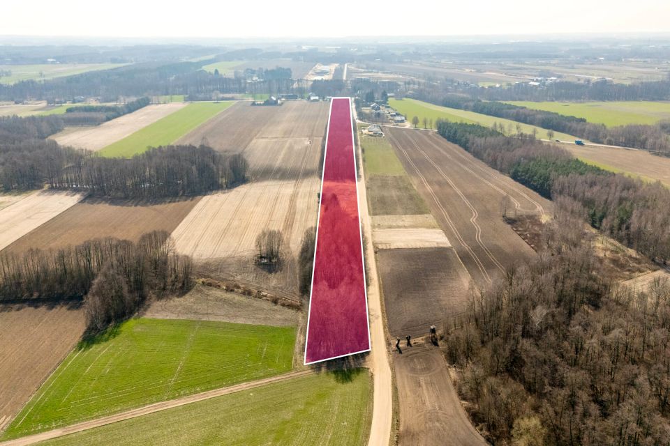 Działka rolna Lisewo