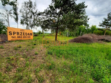 Działka Kazuń Polski