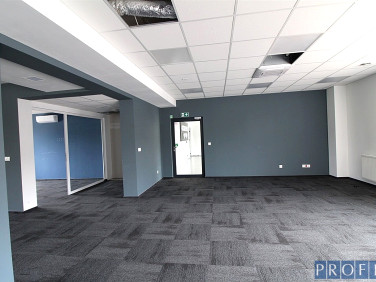 Lokal Katowice wynajem