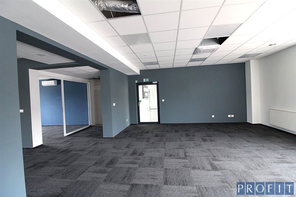 Lokal Katowice wynajem