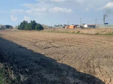 Działka Kalisz