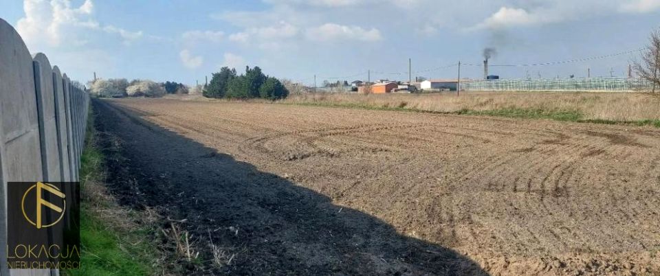 Działka Kalisz