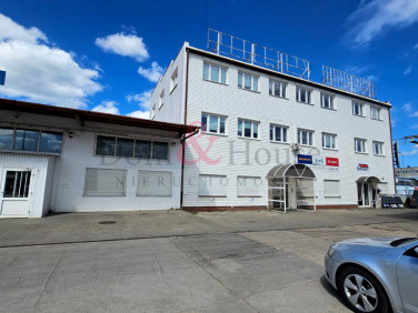 Lokal Gdynia