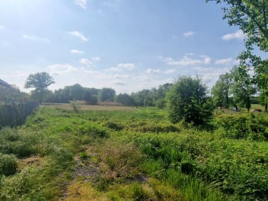 Działka rolna Sieniawa Żarska