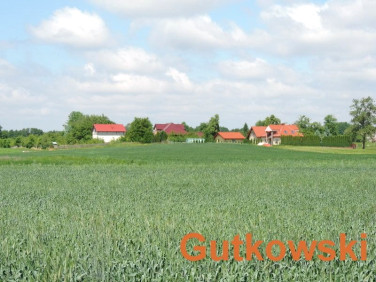 Działka rolna Tynwałd