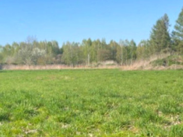 Działka budowlana Granica sprzedam